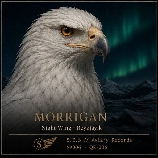 Headshot of Morrigan, Night Wing · Reykjavík